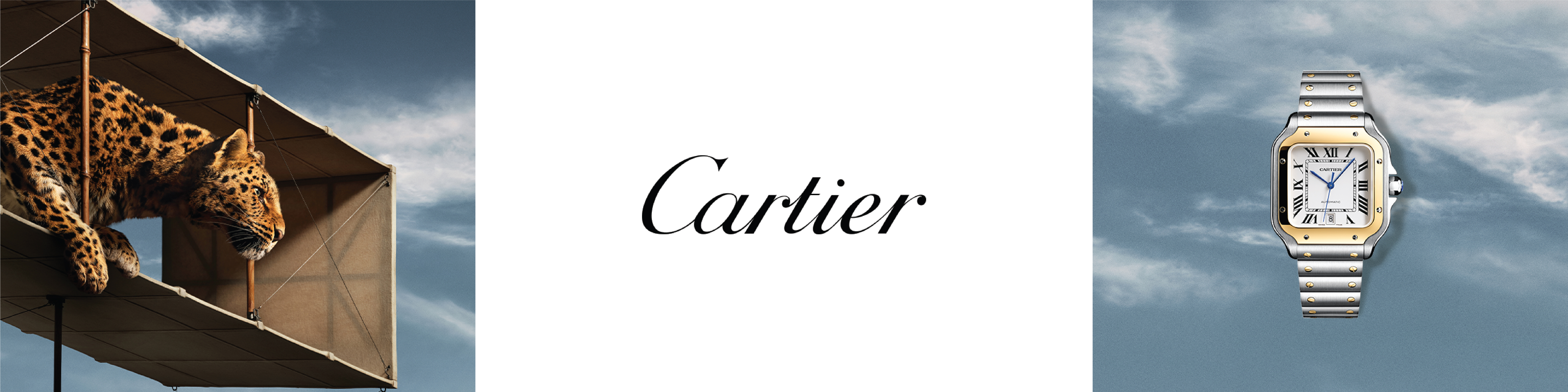 Cartier Watches