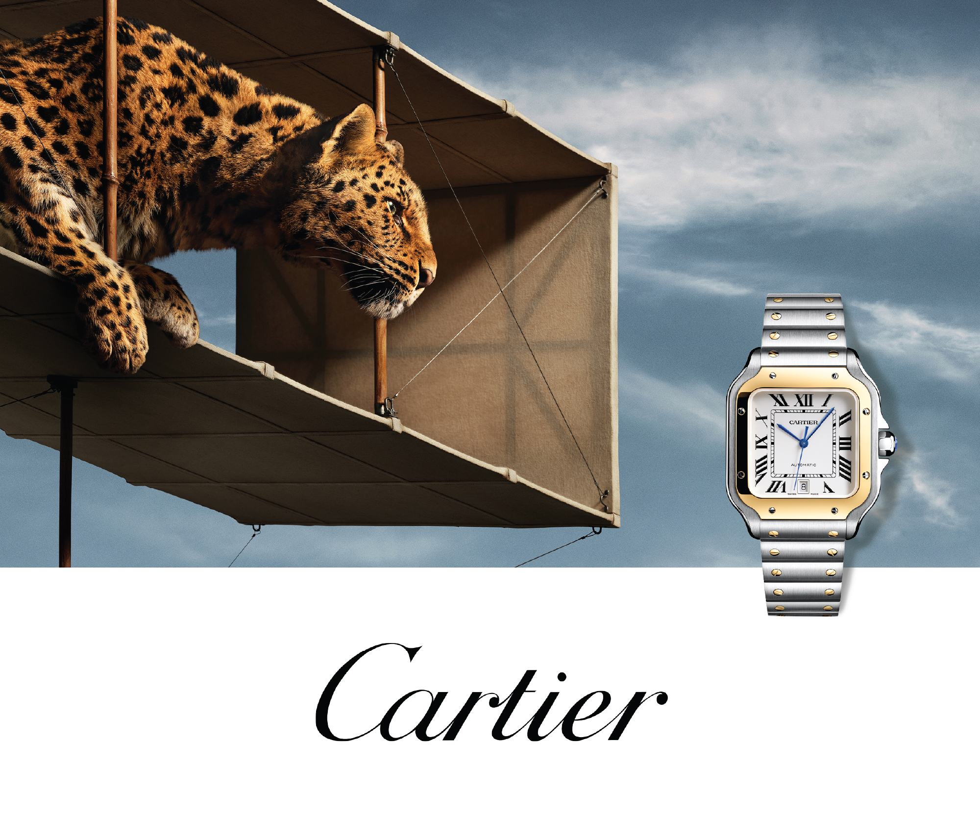 Cartier Watches