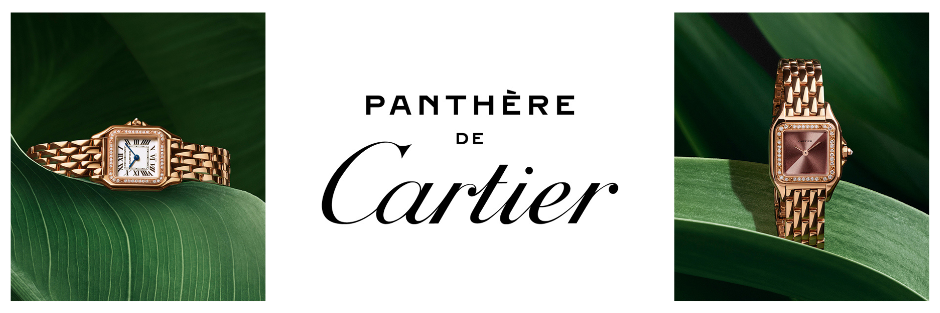 Cartier Watches at Benari