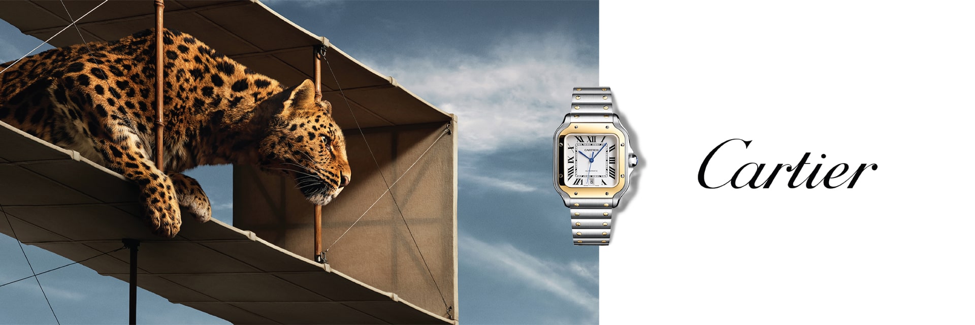 Cartier Watches at Benari