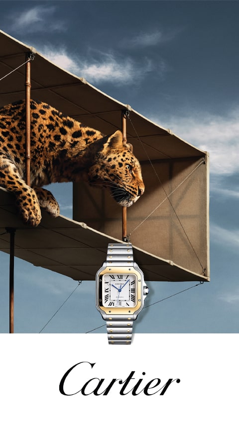 Cartier Watches at Benari